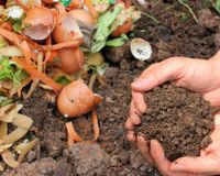 Nous encouragons nos locataires à composter, dans une approche eco-responsable.